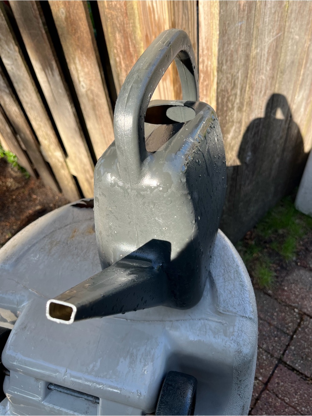 1 gallon Watering Can,Large Capacity Watering Can for Plants with Long Spout,